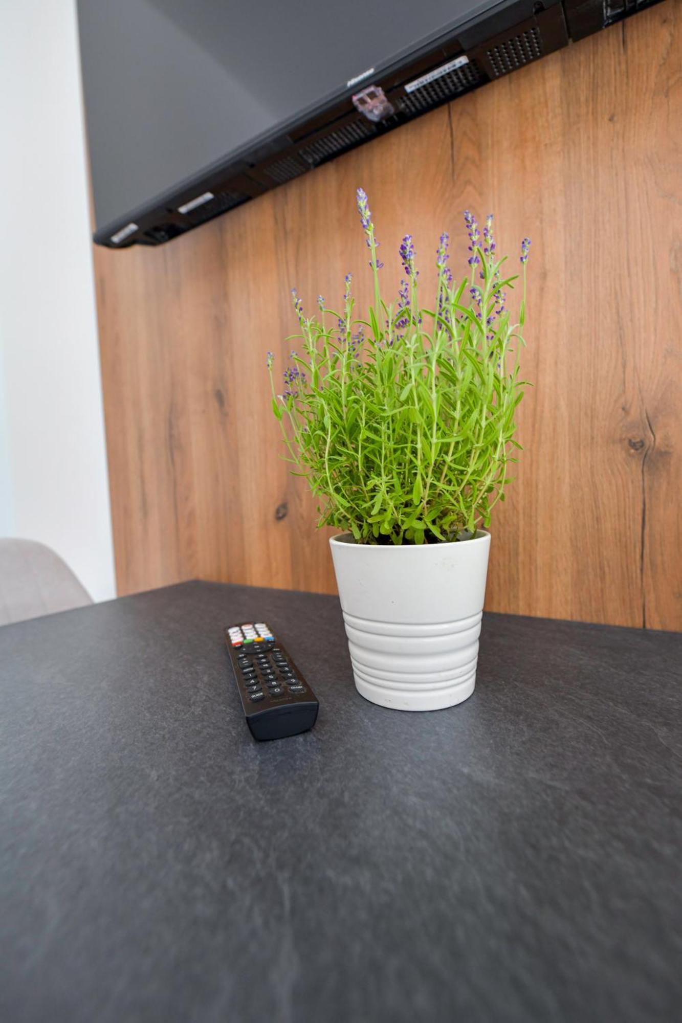 Sloneczne Wzgorze Zator Apartment ภายนอก รูปภาพ
