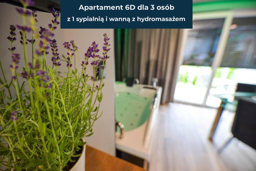 Sloneczne Wzgorze Zator Apartment ภายนอก รูปภาพ